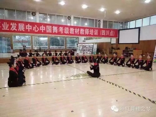 中国少先队事业发展中心社会艺术水平舞蹈考级第518期 教师培训于10月1日 5日将在 明之星舞蹈 举行